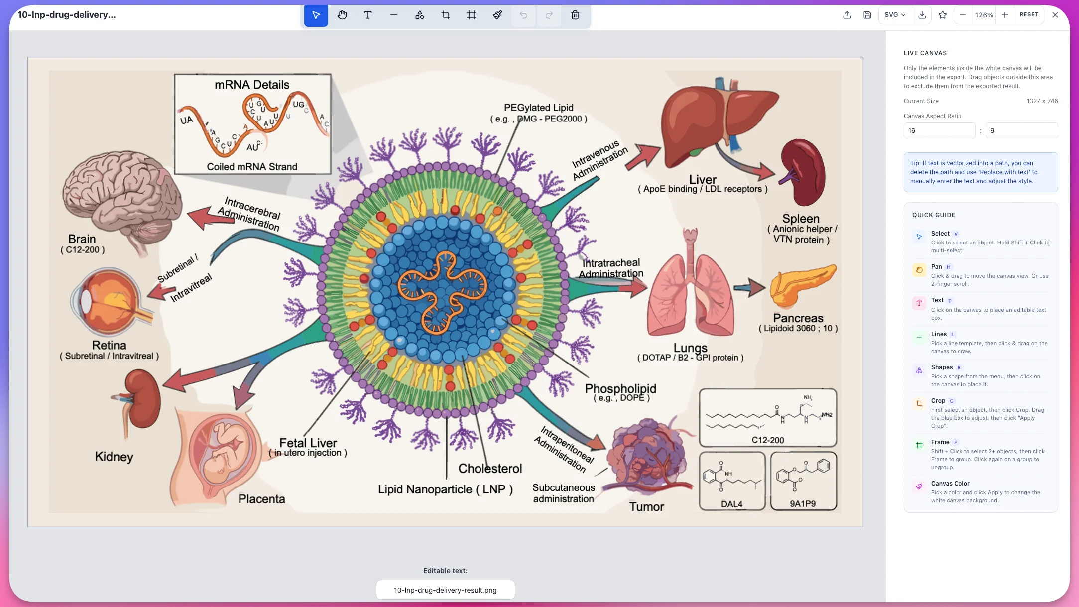 Vector Canvas: every label, arrow, and organ in the LNP diagram stays editable as fully vectorized objects on the live canvas