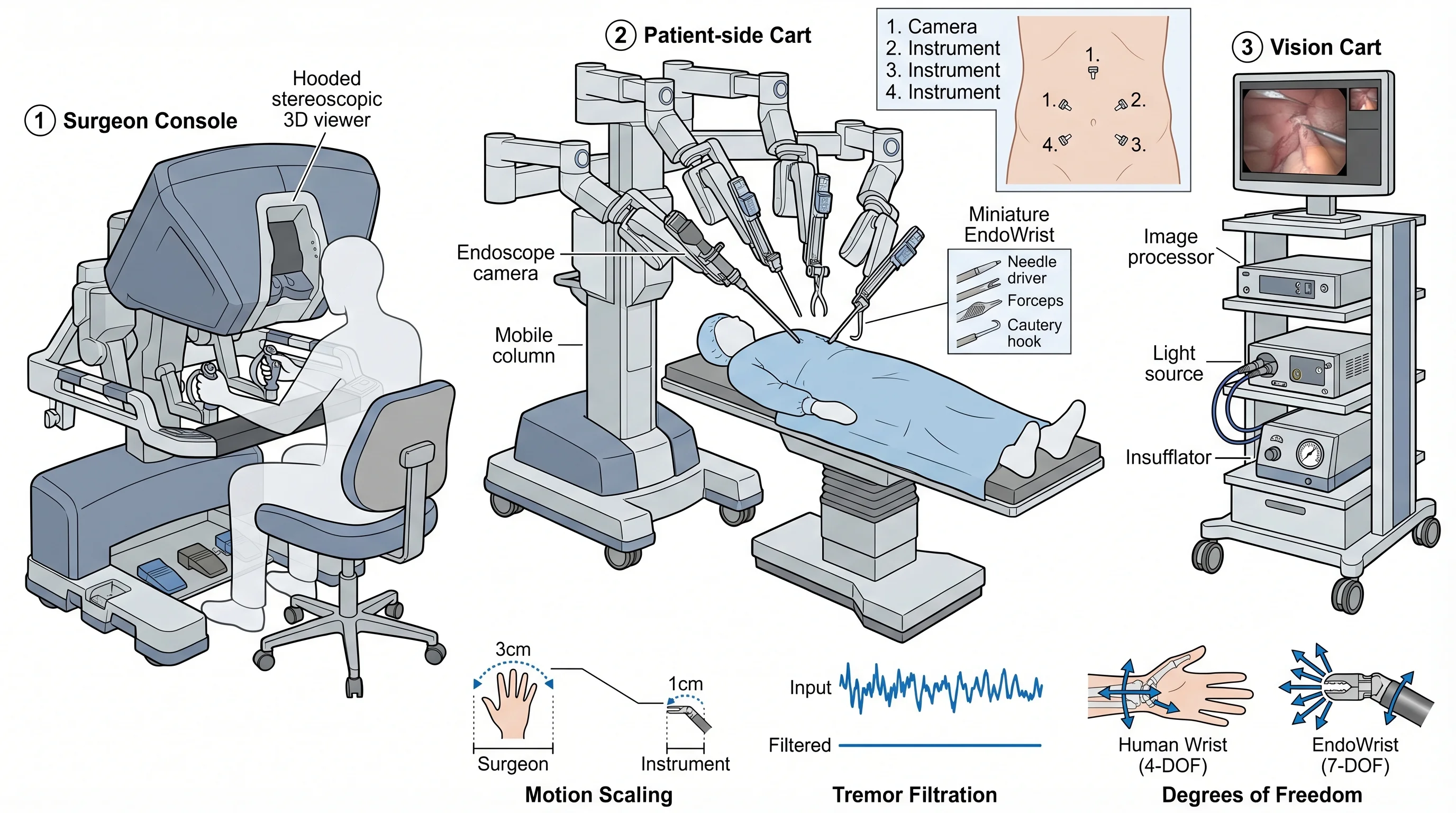 Scientific figure example 1 created with SciFig