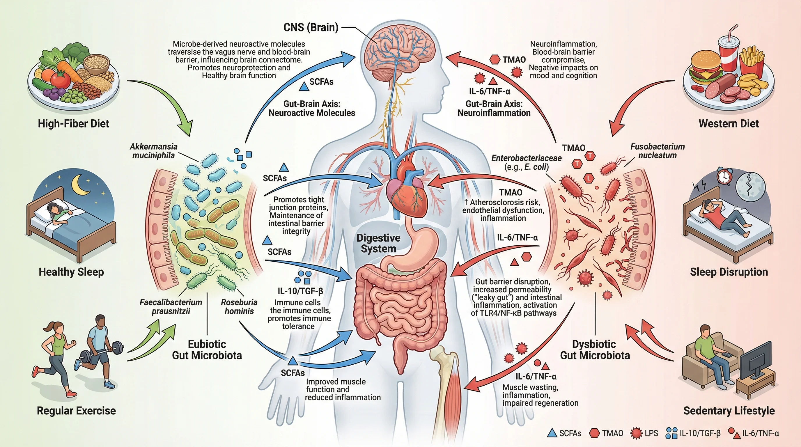Scientific figure example 3 created with SciFig