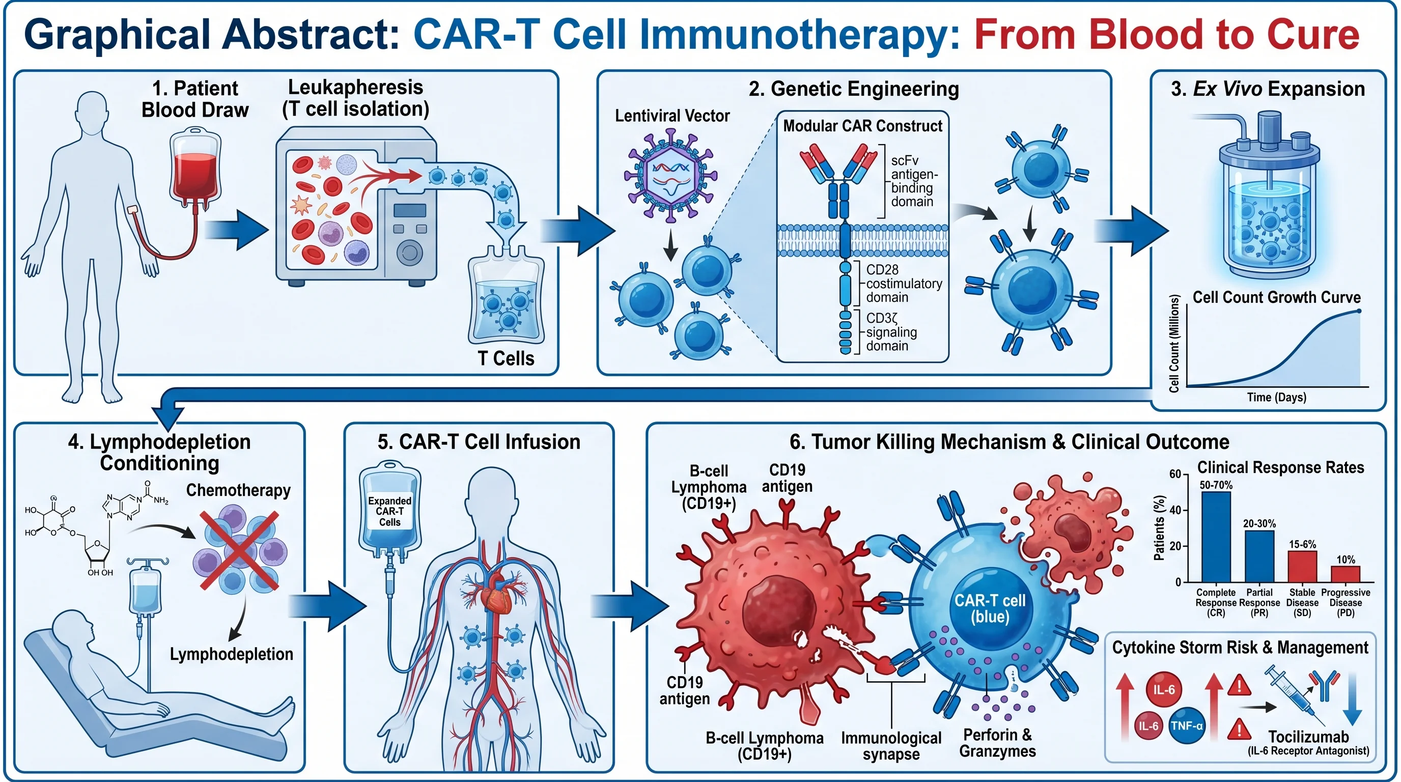 Meccanismo di immunoterapia con cellule CAR-T