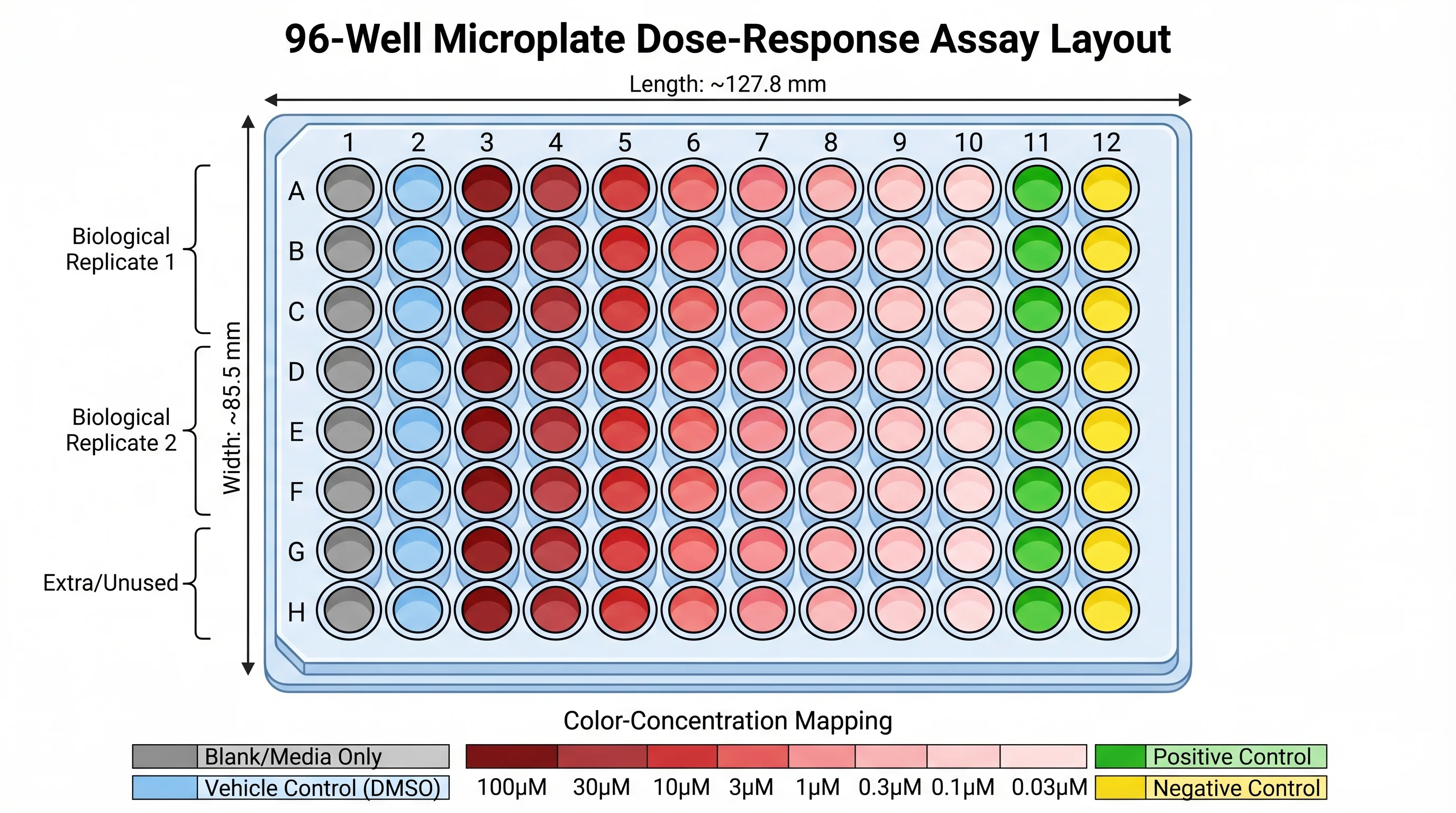 Layout sperimentale di piastra a 96 pozzetti