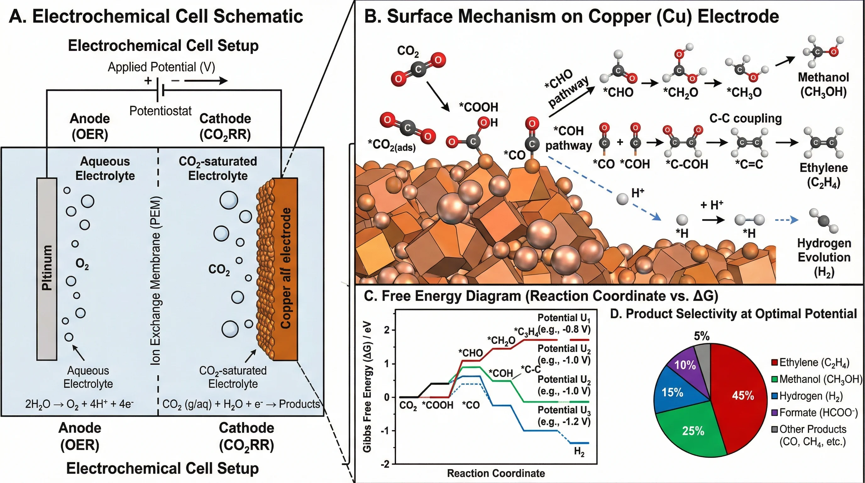 Electrochemical CO2 Reduction Mechanism