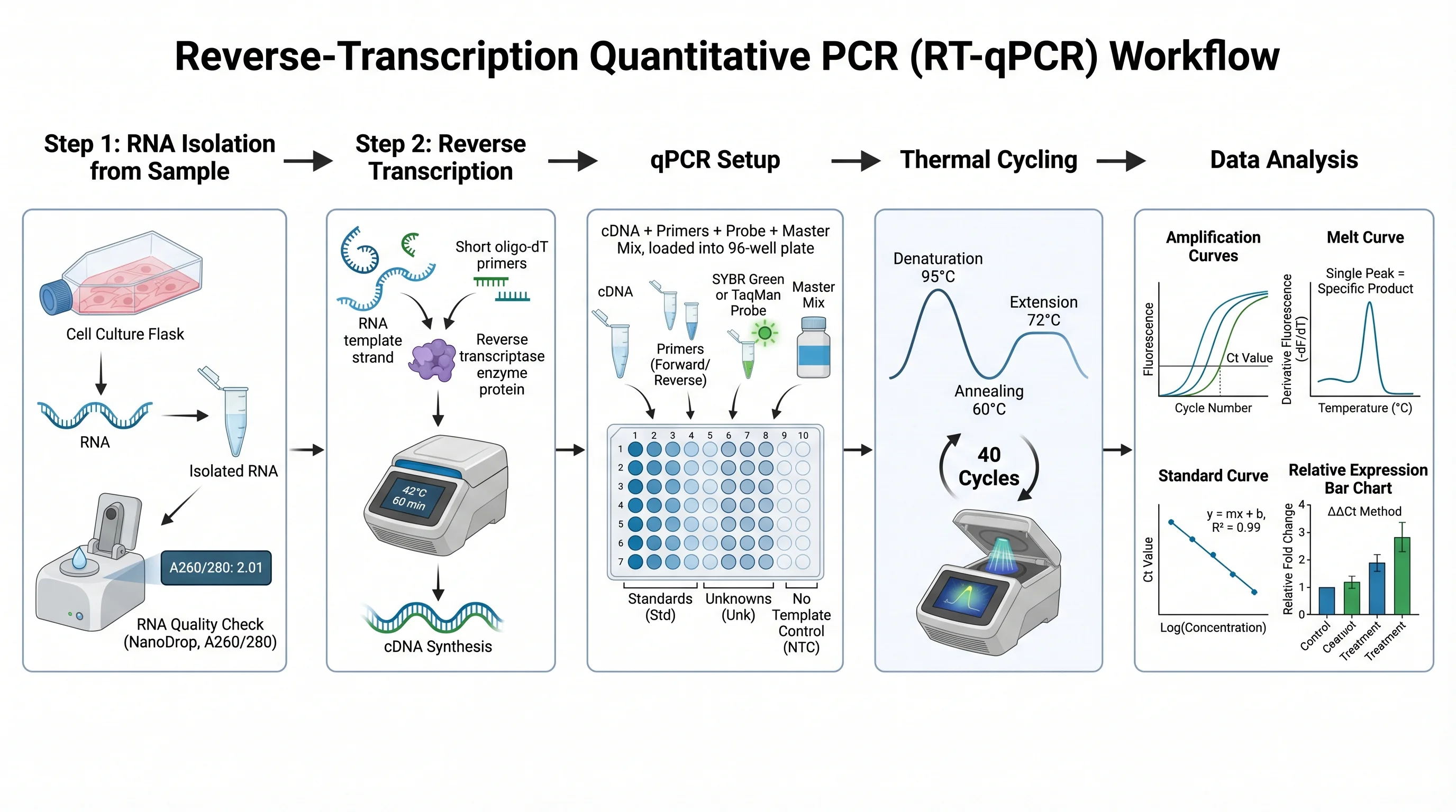 RT qPCR Laboratory Workflow