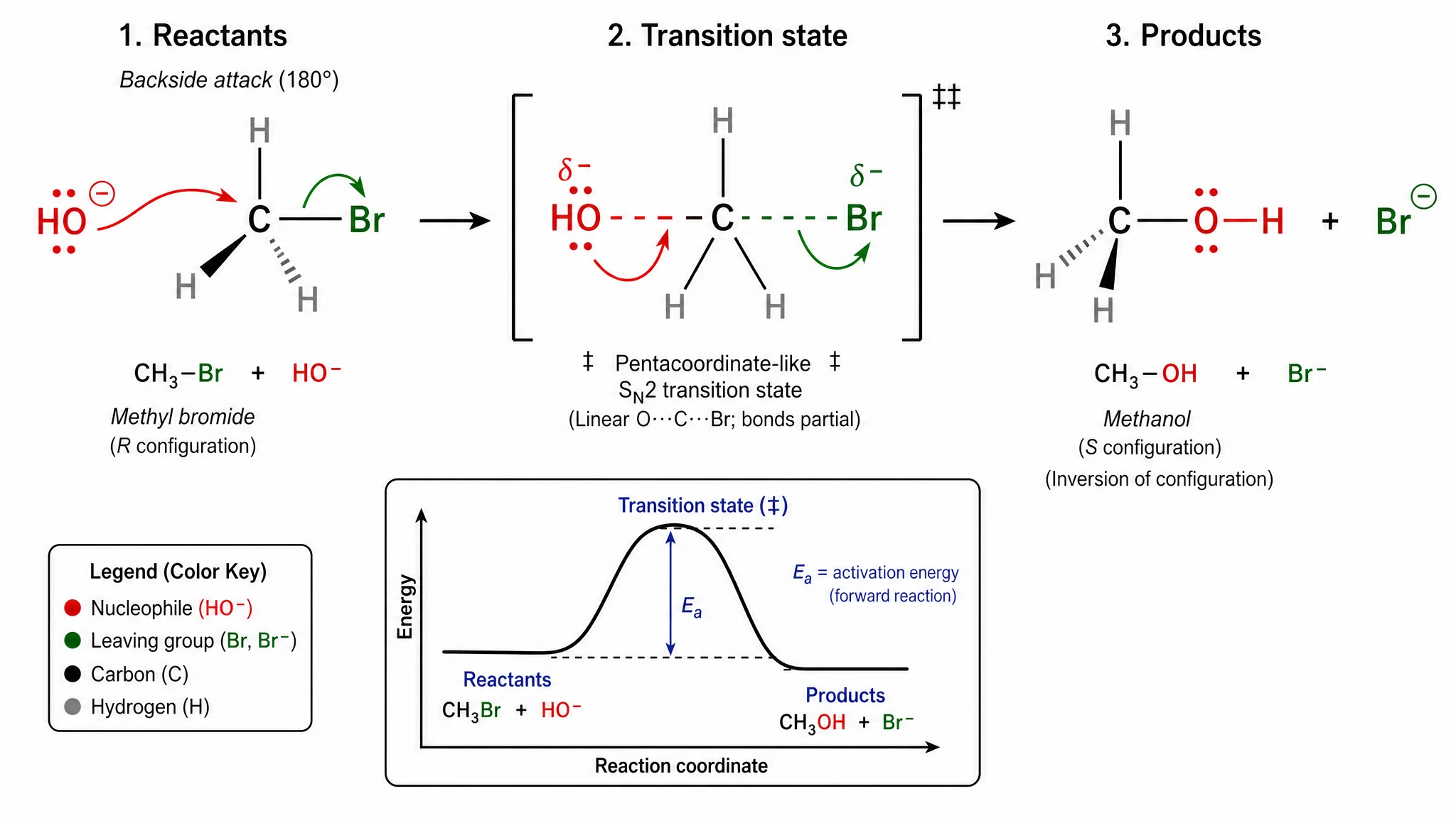 GPT Image 2 — SN2 Substitution Reaction Mechanism