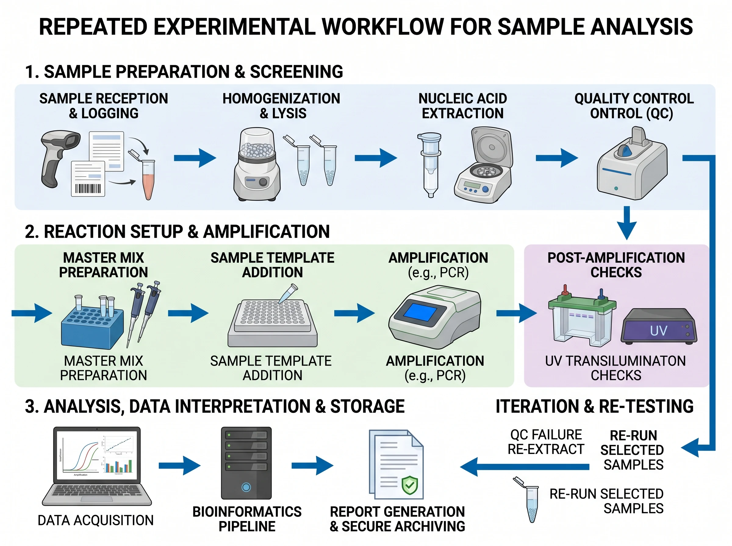 Nano Banana 2 balanced scientific workflow figure example