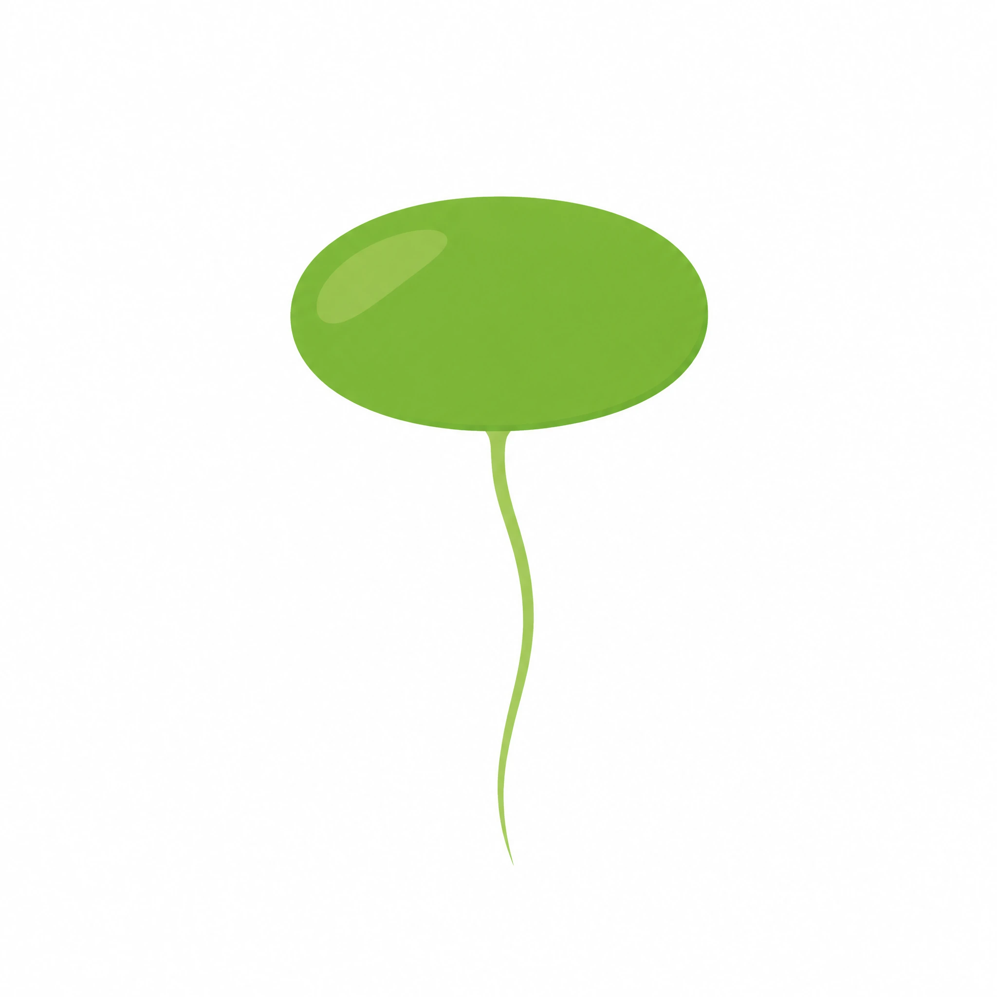 Clean single duckweed frond with one hanging root isolated on white for use as a PNG icon (Figure generated with SciFig)