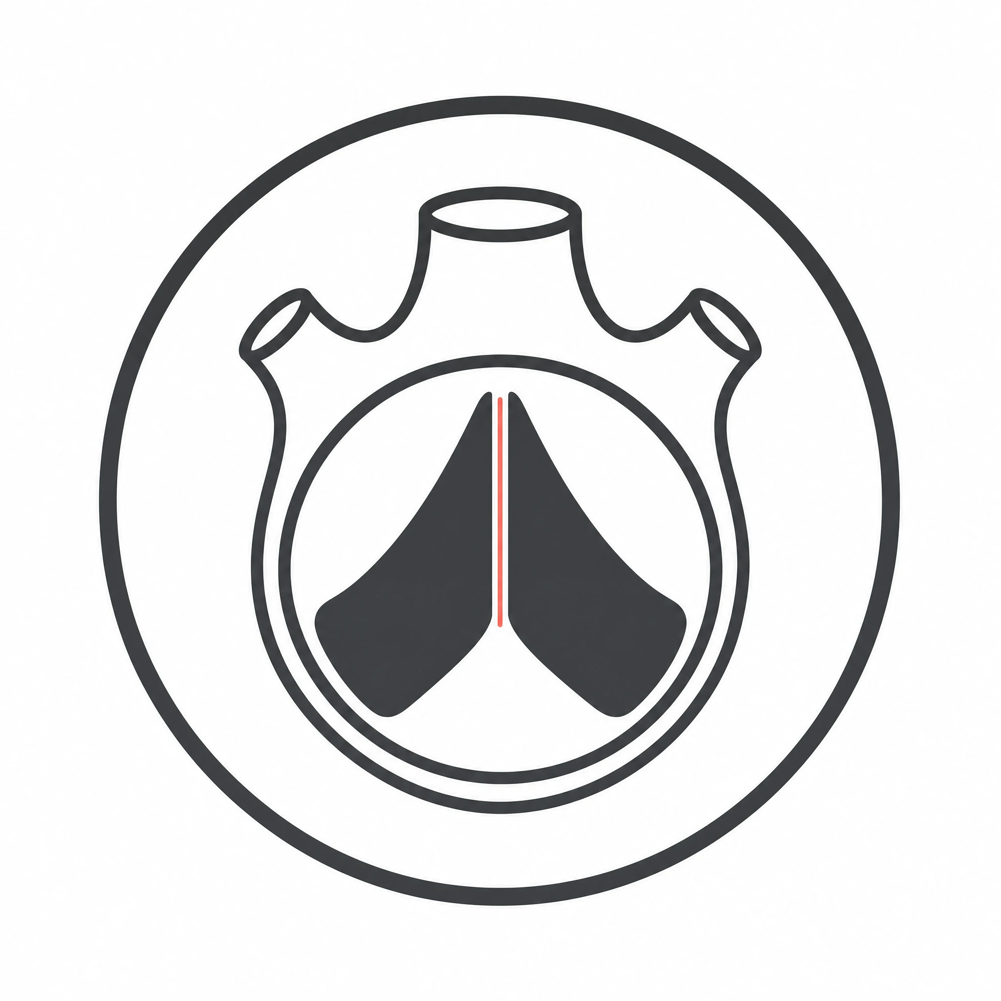 Minimal monochrome bicuspid aortic valve icon with two leaflets meeting along a single line (Figure generated with SciFig)
