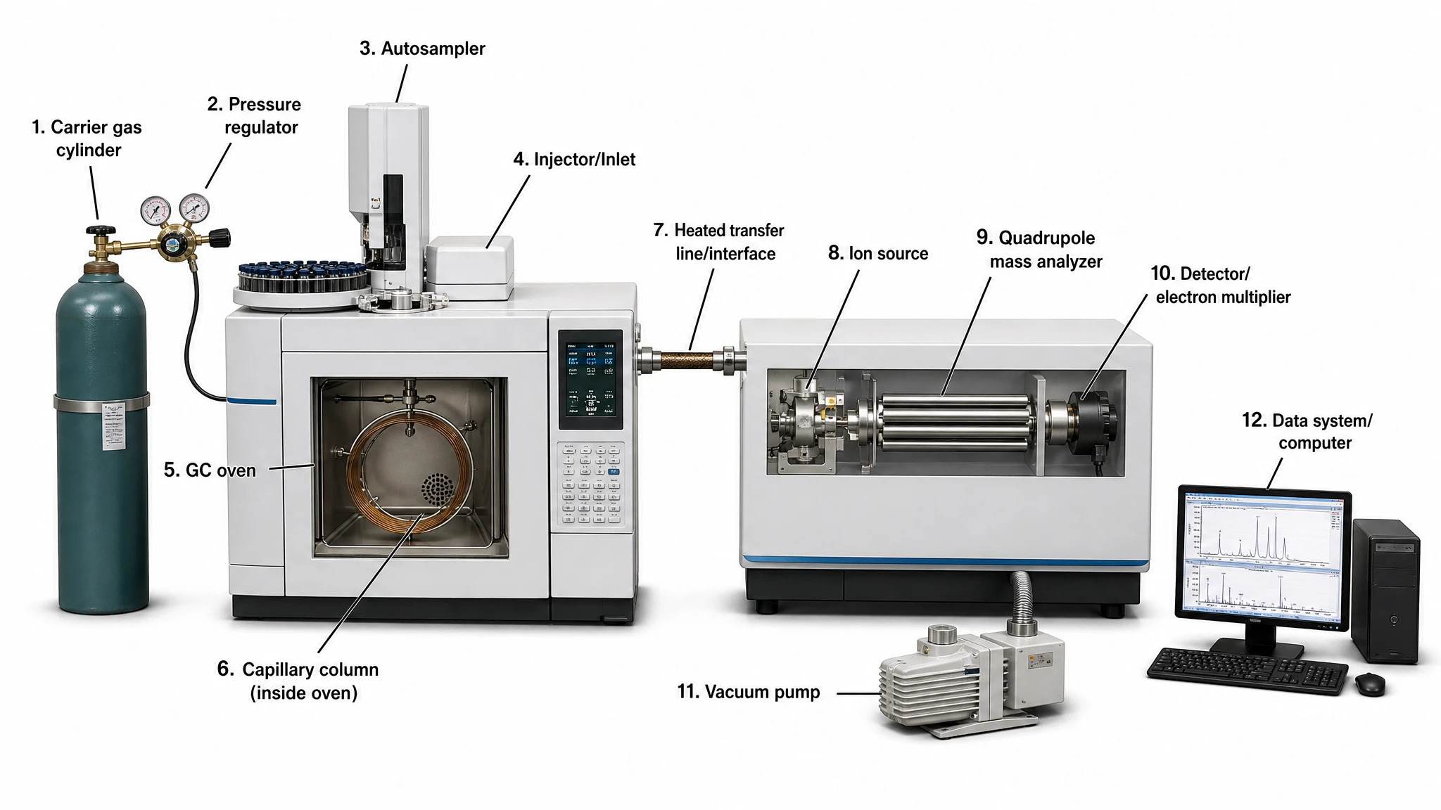 Labeled GC-MS instrument diagram with gas chromatograph oven connected to the mass spectrometer housing (Figure generated with SciFig)
