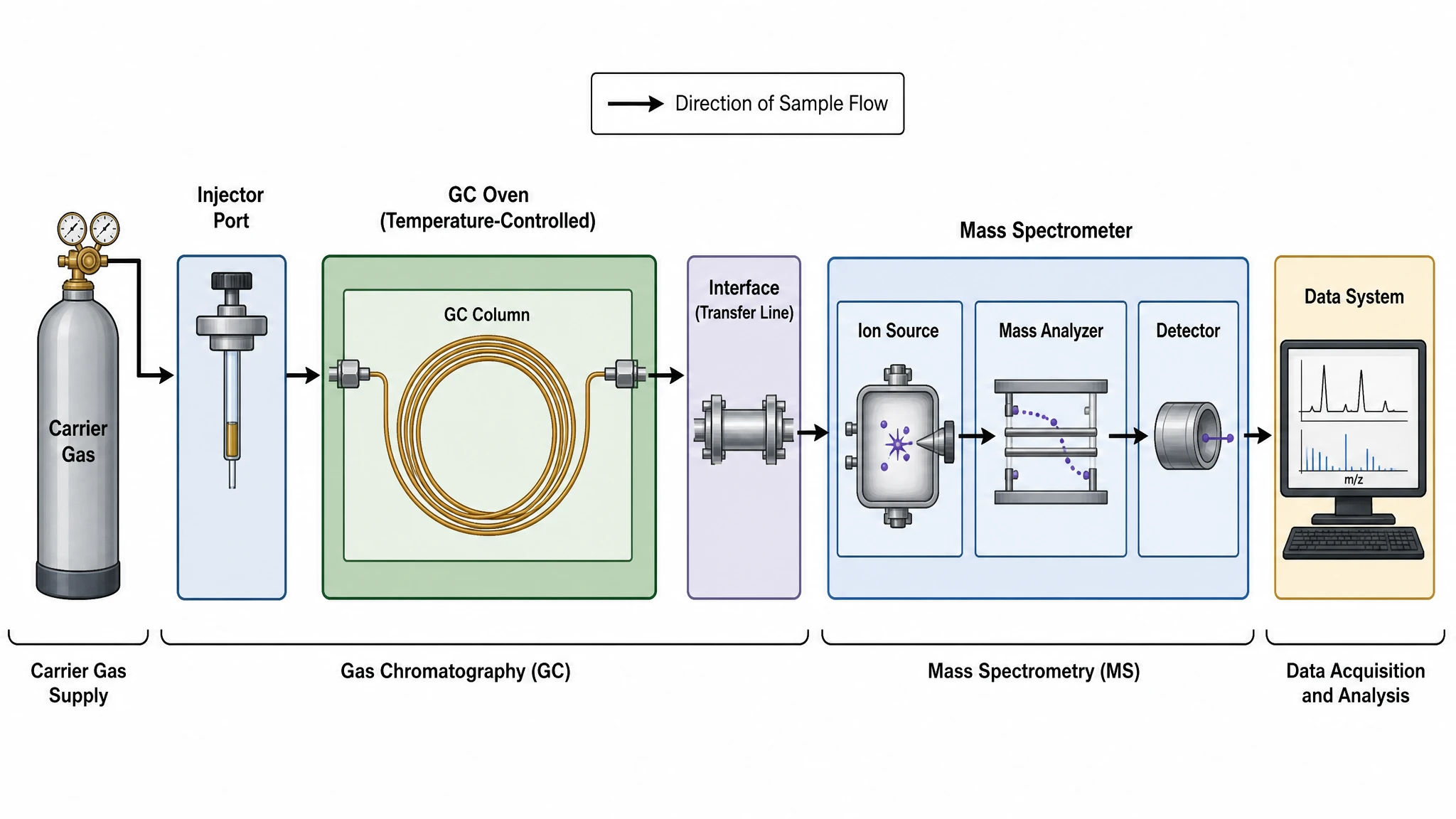 GC/MS system illustration showing carrier gas, injector, chromatography column, ion source, mass analyzer, and detector connected as a block diagram (Figure generated with SciFig)