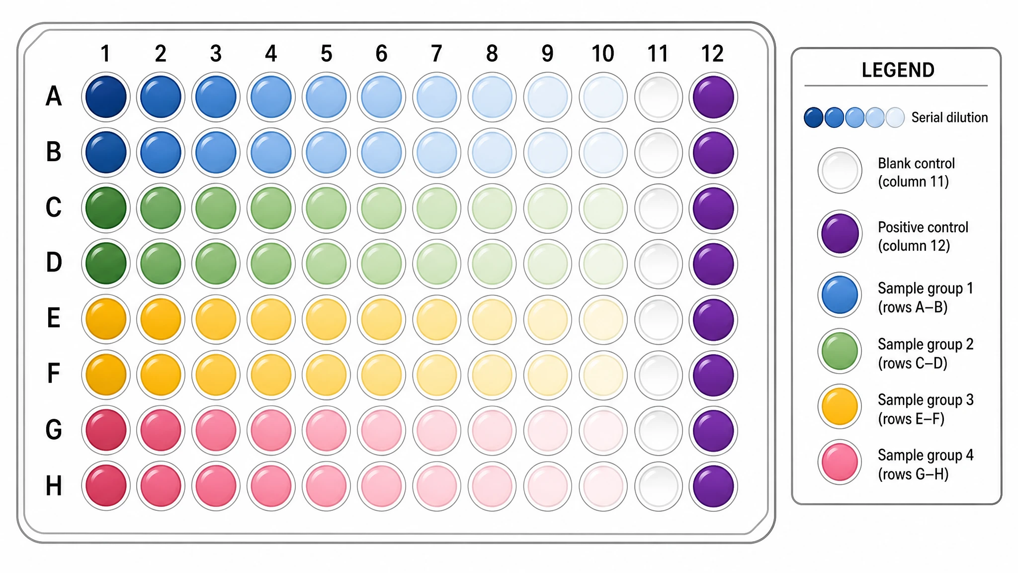 Filled-in editable 96 well plate template showing a dilution series, controls, and replicate samples color-coded across the 8x12 grid (Figure generated with SciFig)