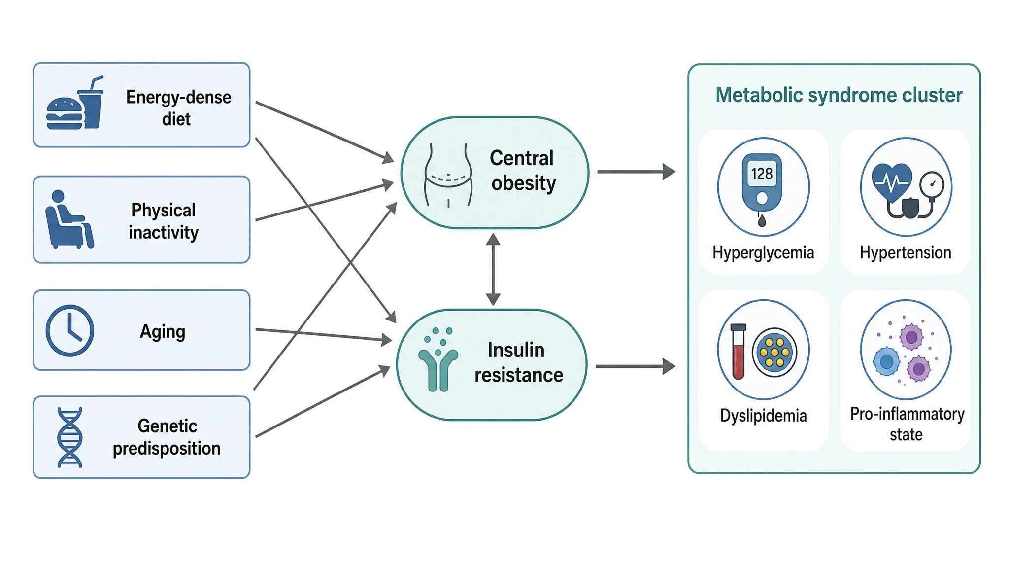 Diagram of metabolic syndrome causal and risk factors flowing through central obesity and insulin resistance (Figure generated with SciFig)