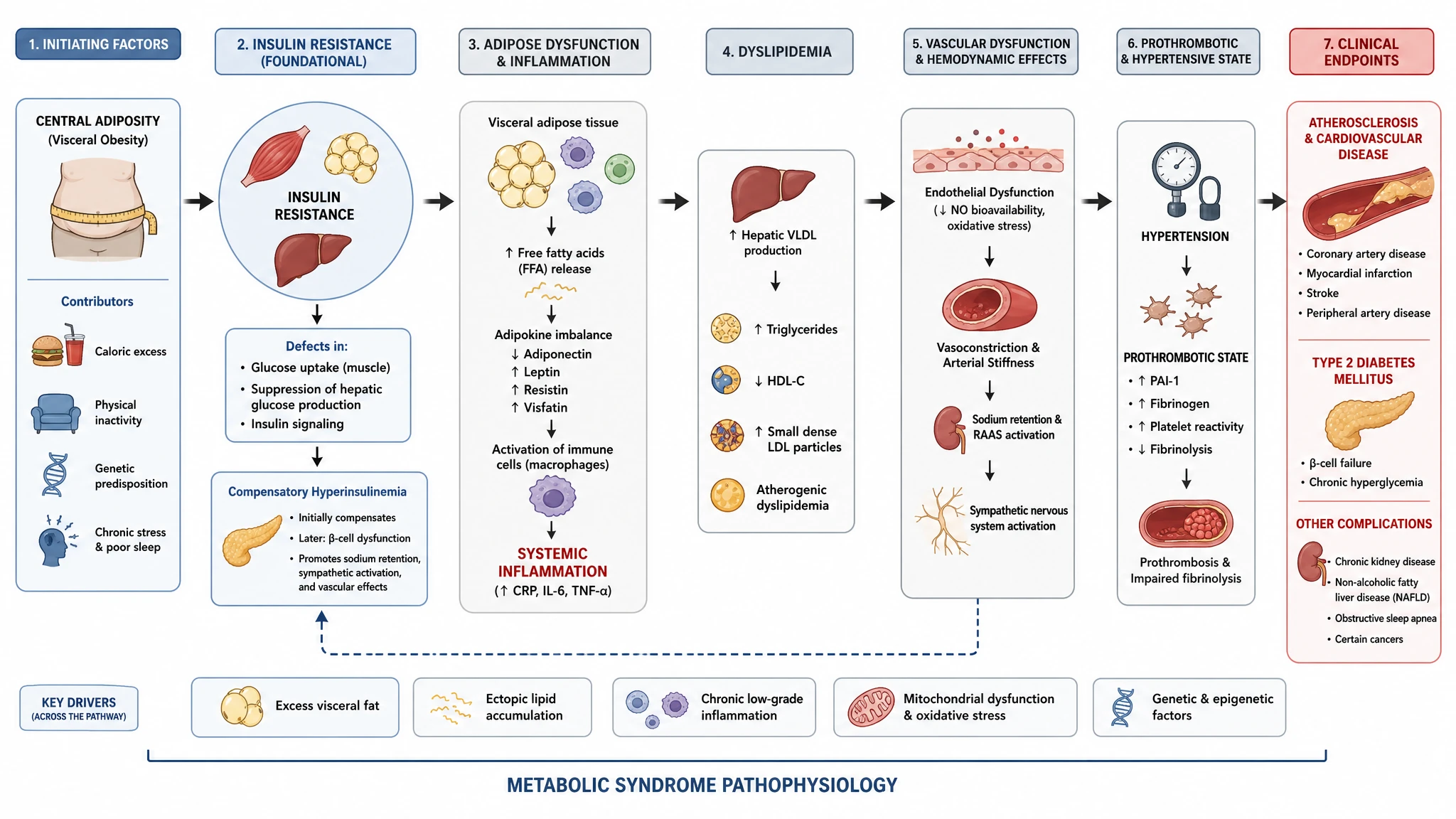 Pathophysiology pathway schematic of metabolic syndrome from central adiposity to atherosclerosis and type 2 diabetes (Figure generated with SciFig)
