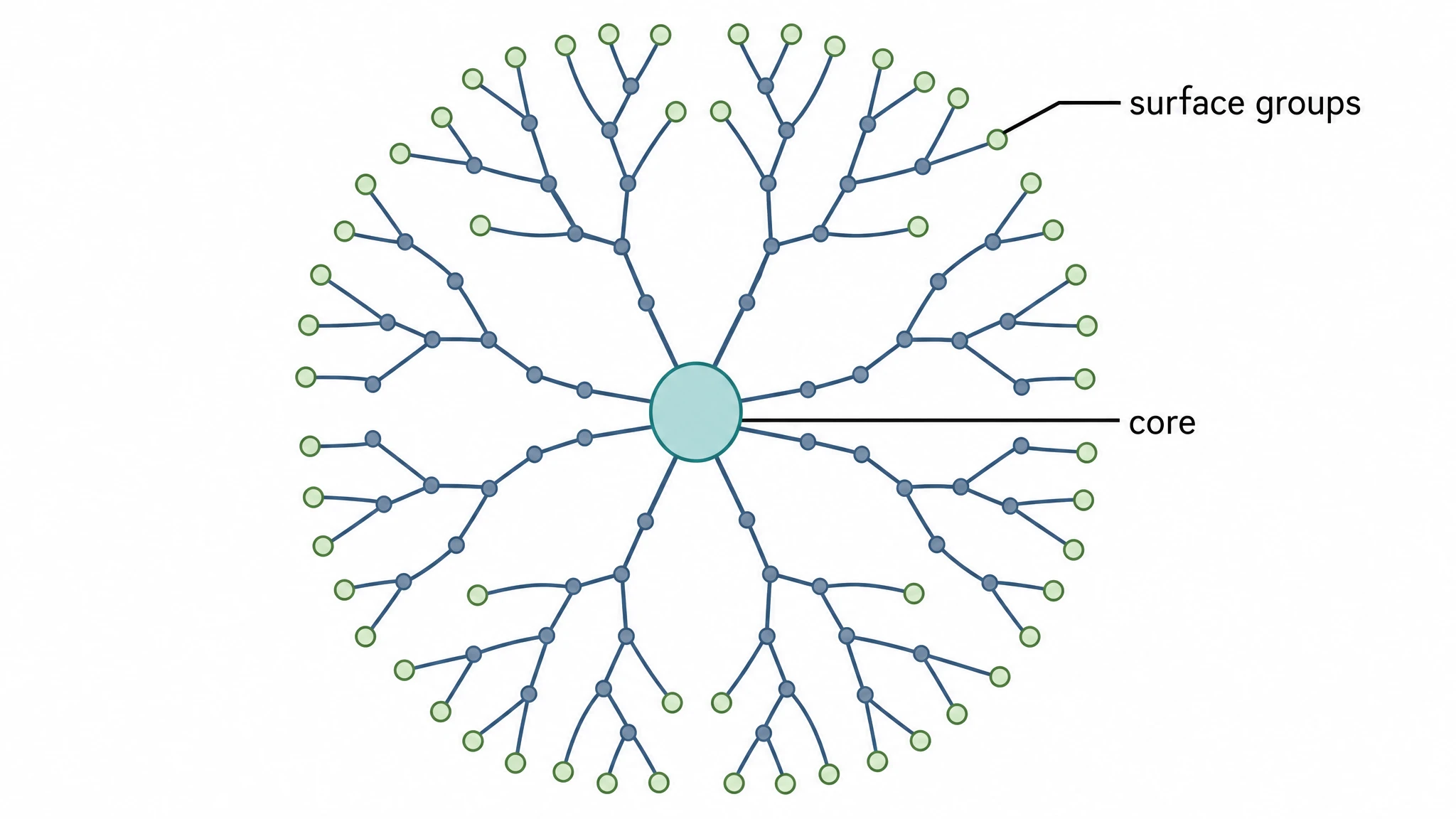 Dendrimer nanoparticle showing a central core, branched generations, and reactive surface end-groups (Figure generated with SciFig)