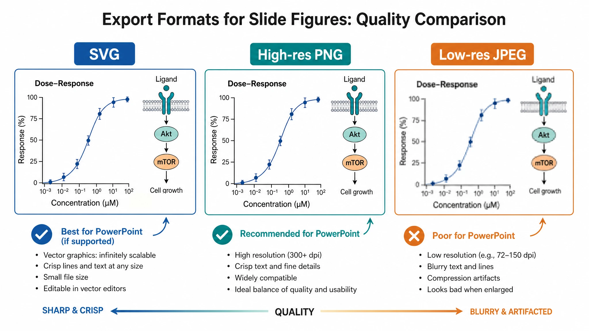 Comparison of SVG, high-resolution PNG, and low-resolution JPEG export formats for PowerPoint figures (Figure generated with SciFig)