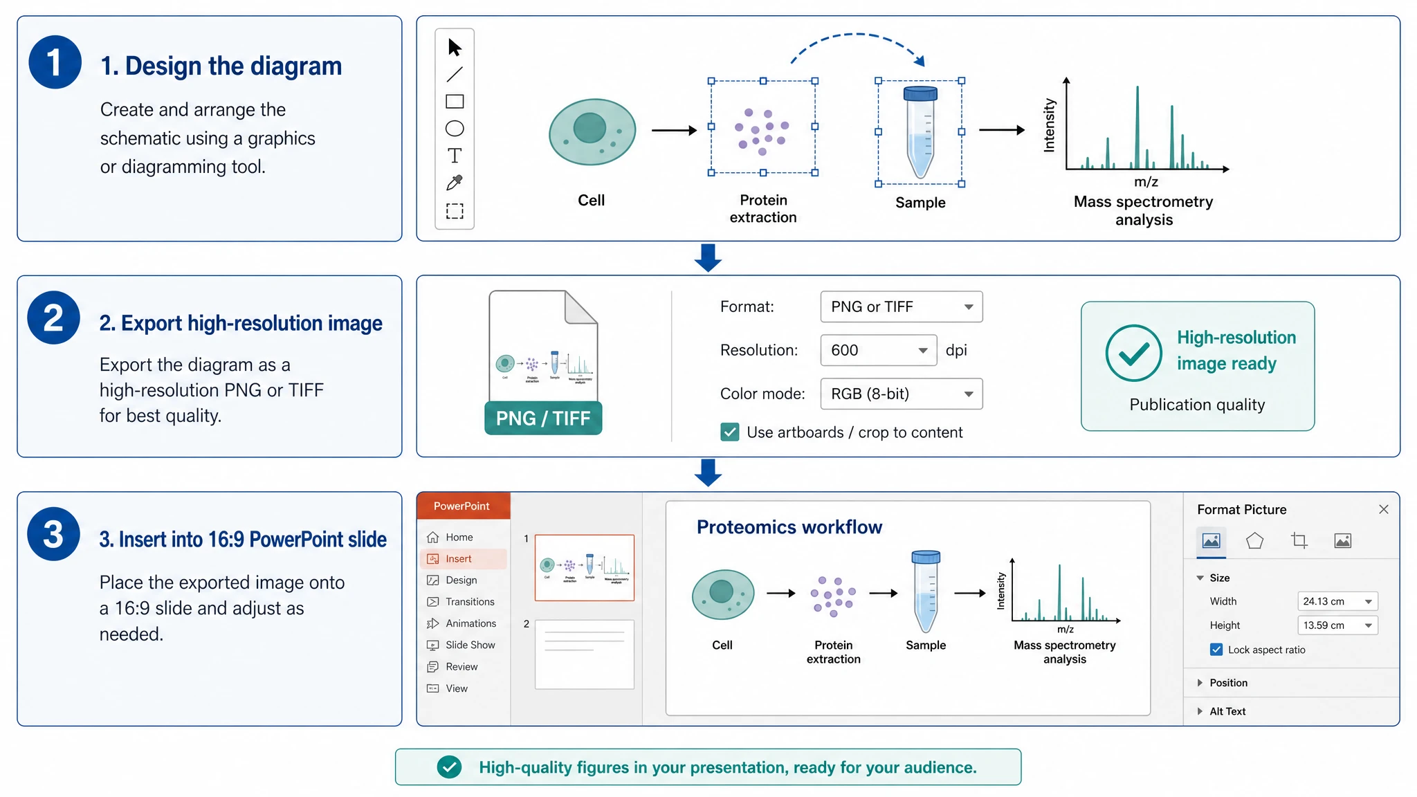 Three-step workflow diagram for designing, exporting, and inserting a scientific figure into PowerPoint (Figure generated with SciFig)