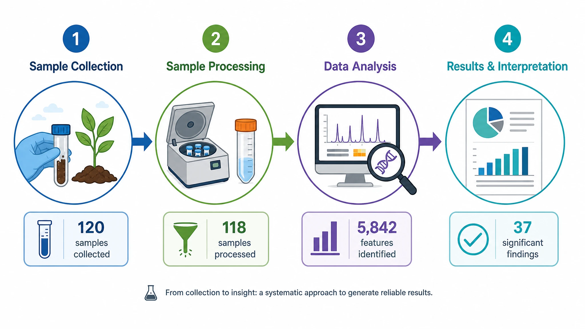 Research methodology infographic showing a four-step workflow from sample collection to results with icons and stats (Figure generated with SciFig)
