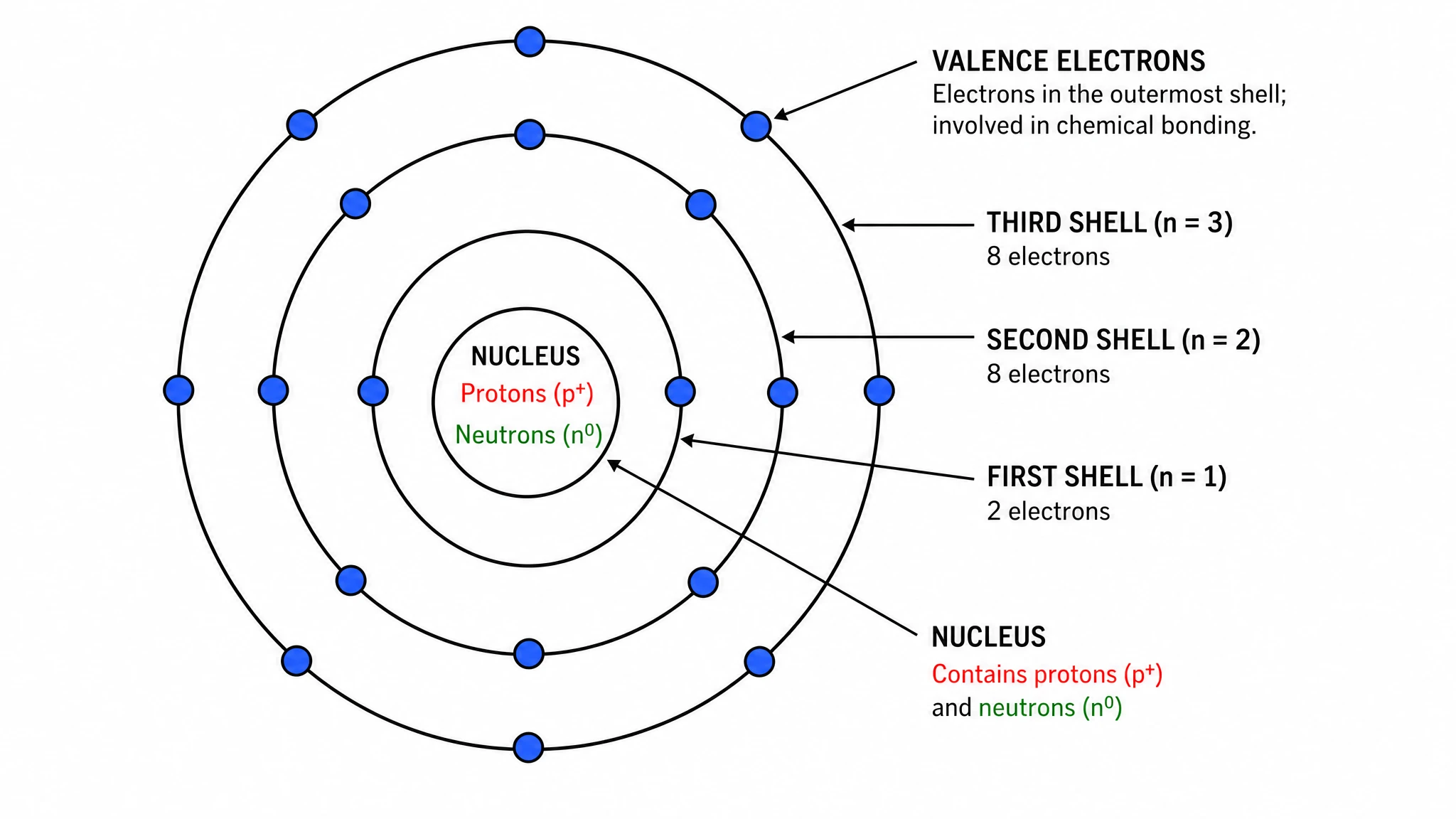 Bohr model atom diagram showing a central nucleus with protons and neutrons surrounded by concentric electron shells with electrons on each ring (Figure generated with SciFig)