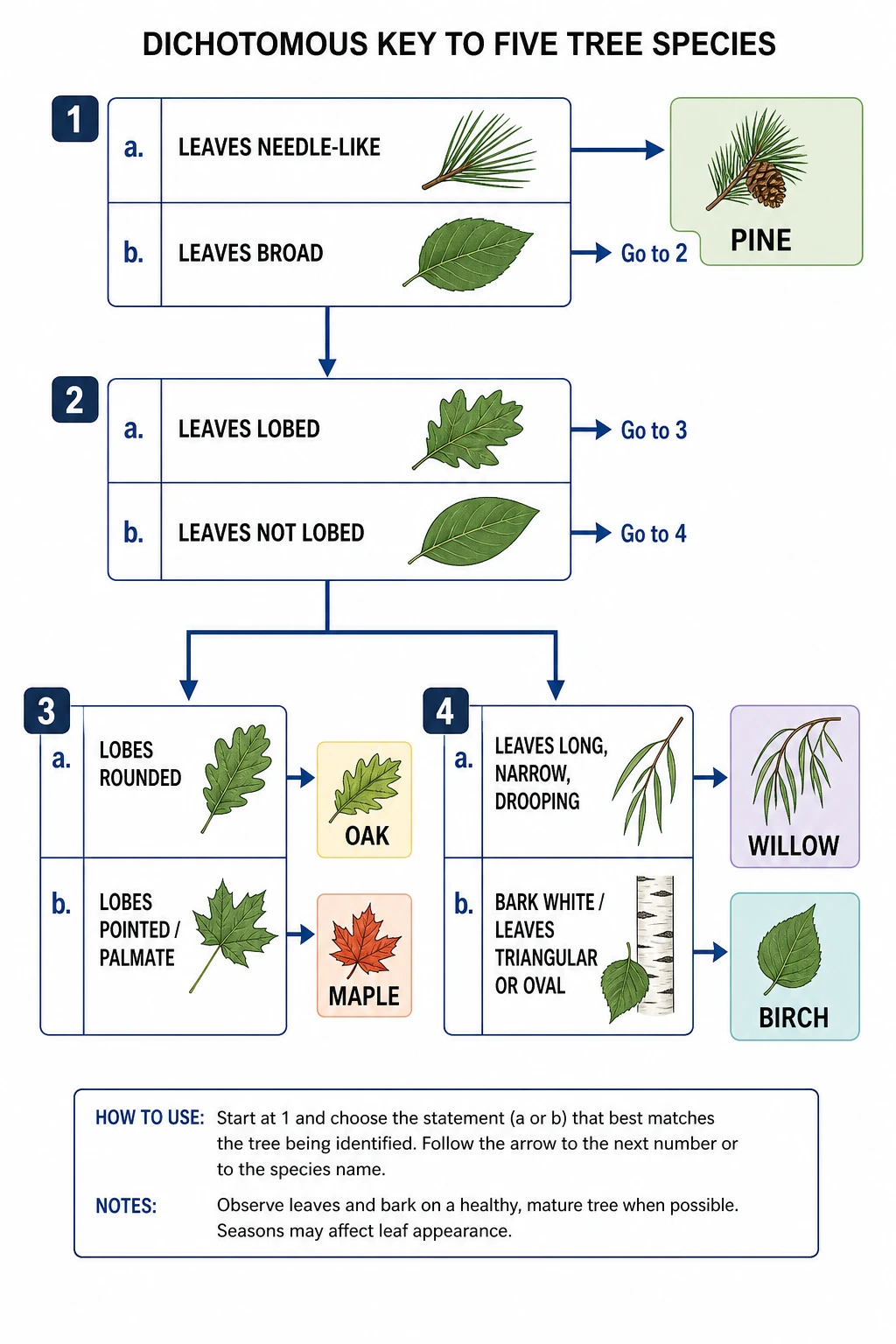 Build a dichotomous key from taxa and characters