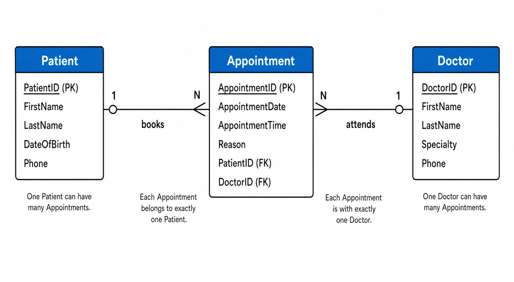 Entities, attributes, and relationships from plain language