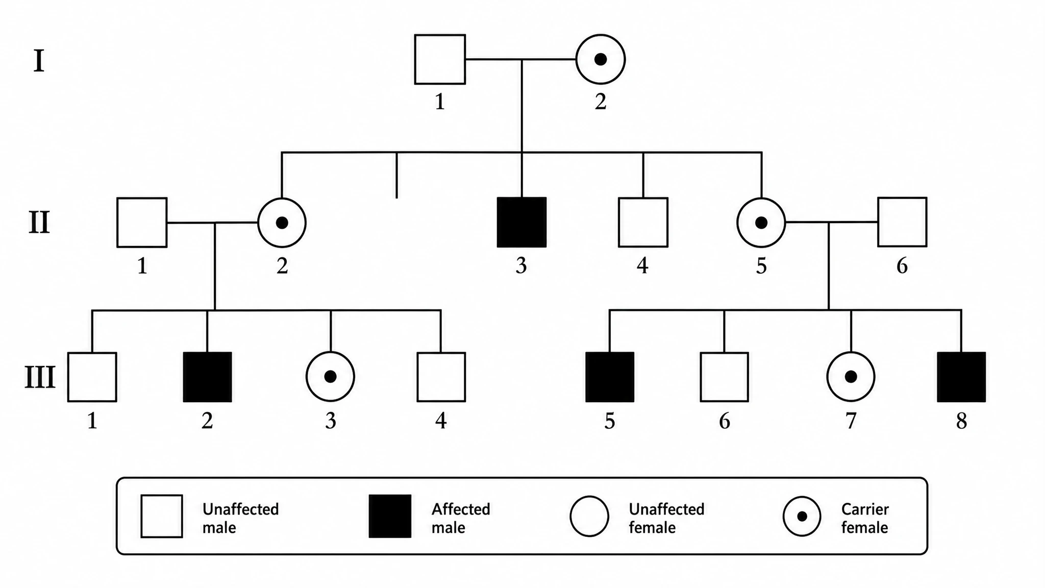 Pedigree chart showing an X-linked recessive inheritance pattern with mostly affected males and carrier females using standard pedigree symbols (Figure generated with SciFig)