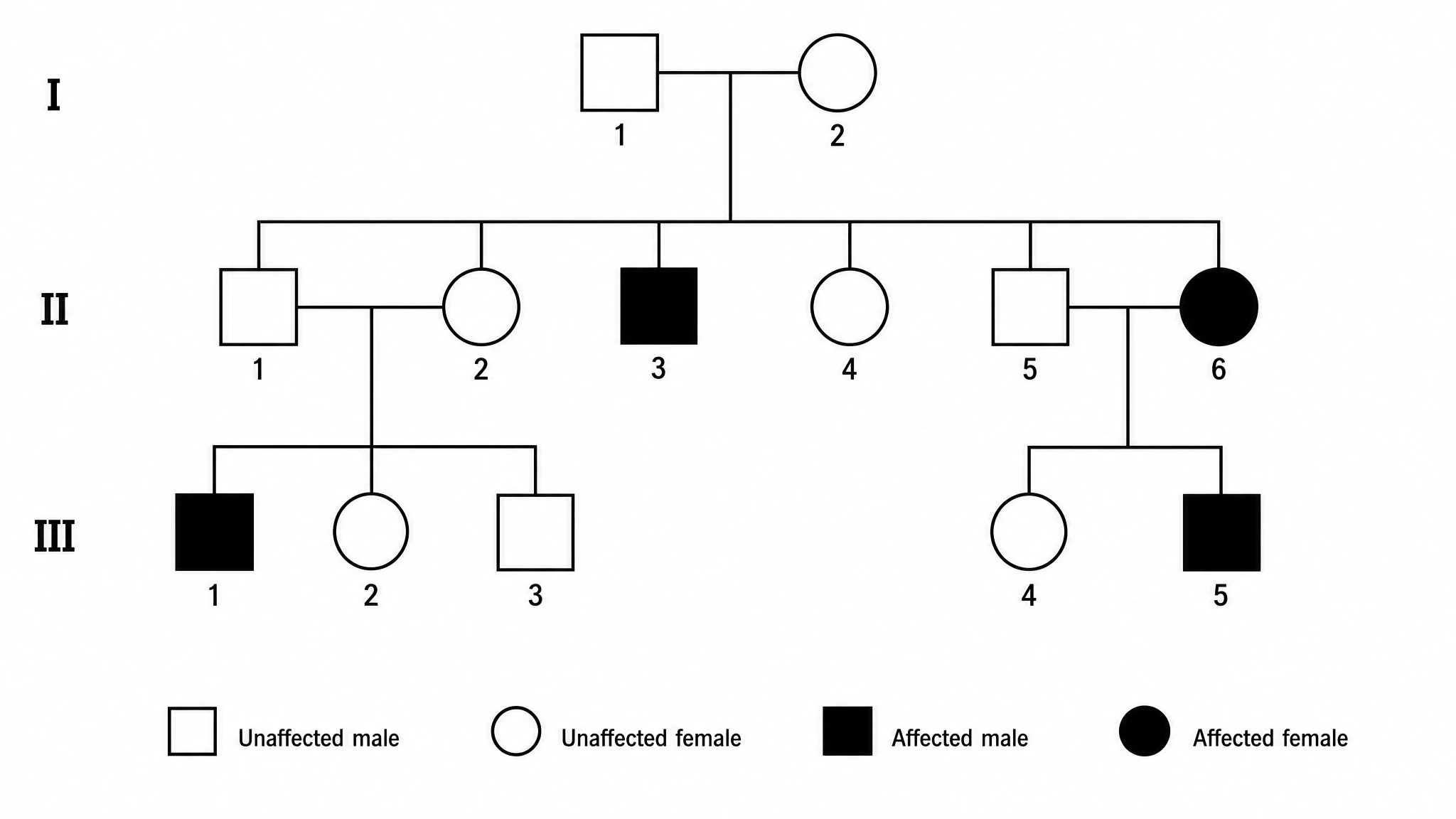 Three-generation pedigree chart with standard pedigree symbols — squares, circles, and filled symbols for affected individuals — connected by mating and descent lines (Figure generated with SciFig)