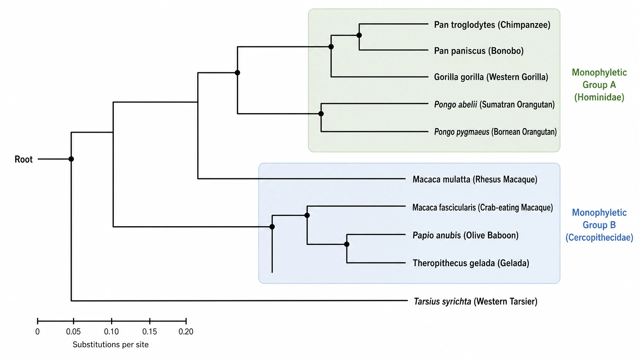 Accurate topology, publication-ready style