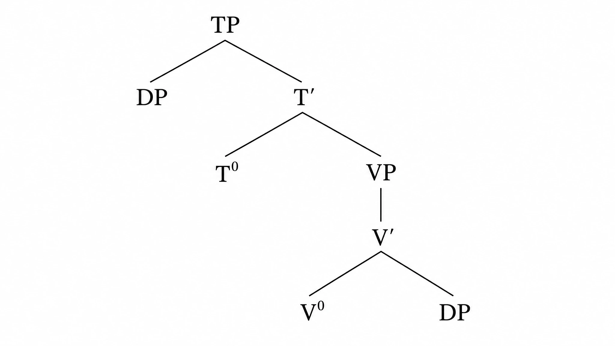 X-bar projections with specifier and complement positions